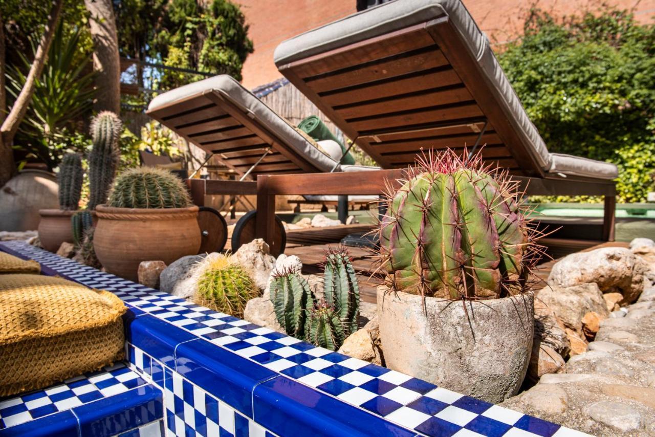 Bed & Breakfast Casa Con Destino-adults Only *